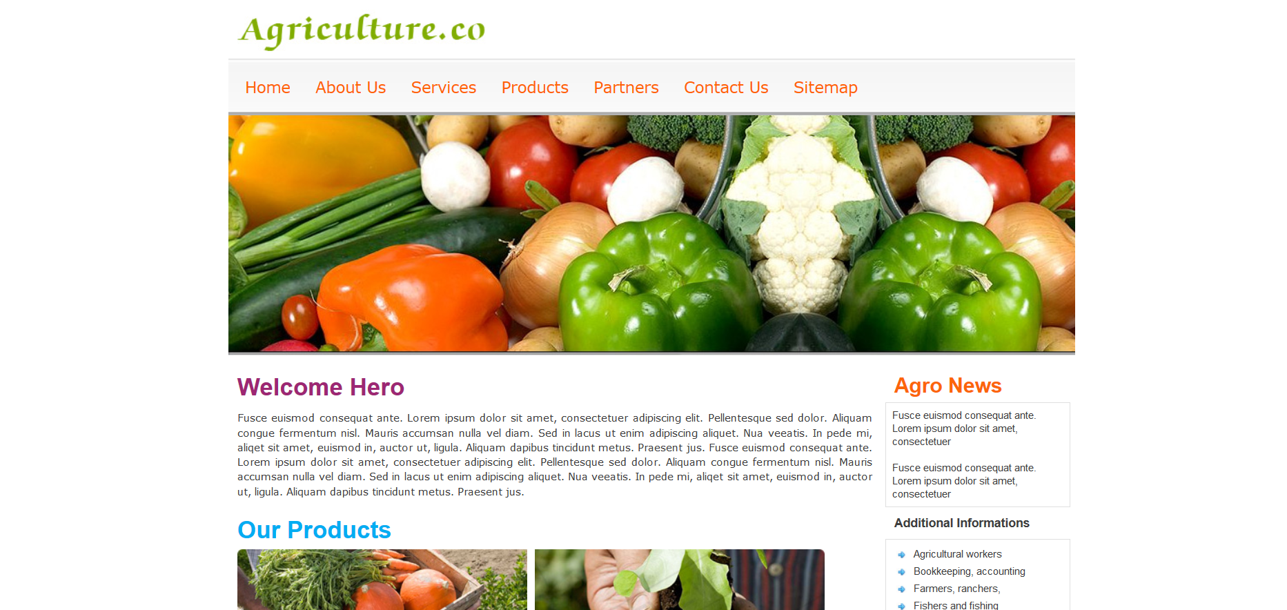 Шаблон сайта Кухня №210