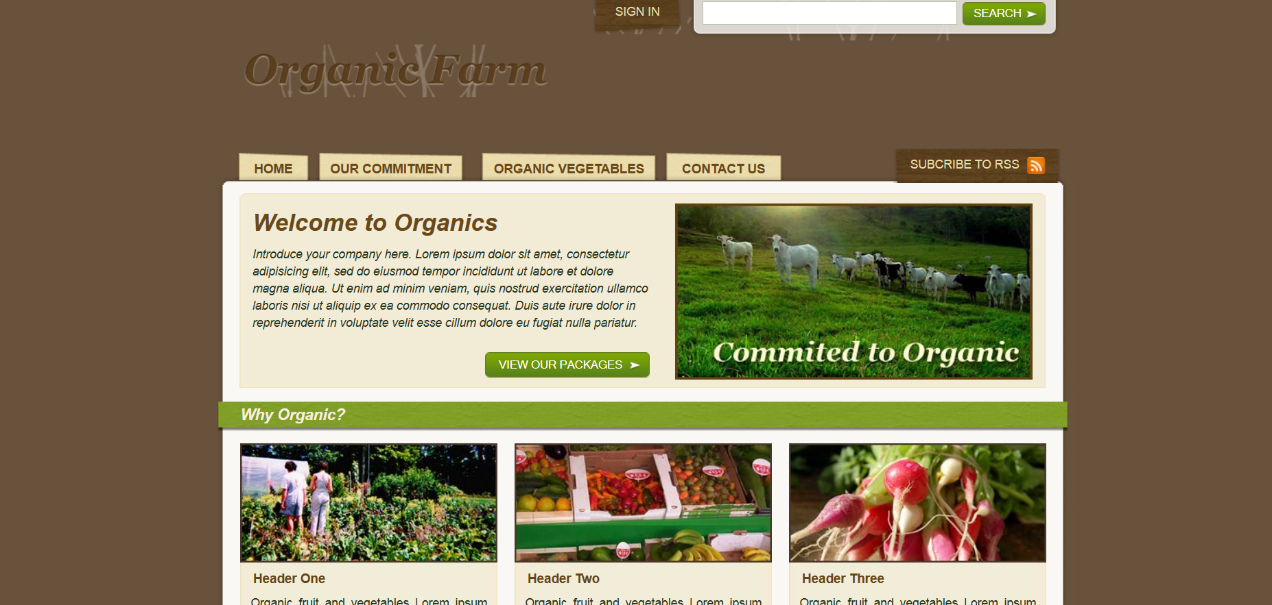 Шаблон сайта Веб №183